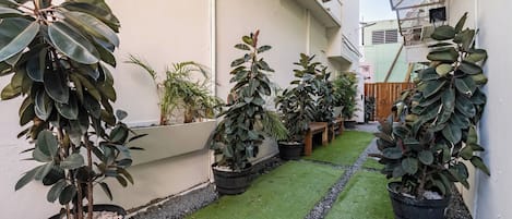 A narrow courtyard with potted plants and a green artificial turf path.