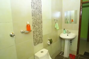 Shower, towels, soap, toilet paper