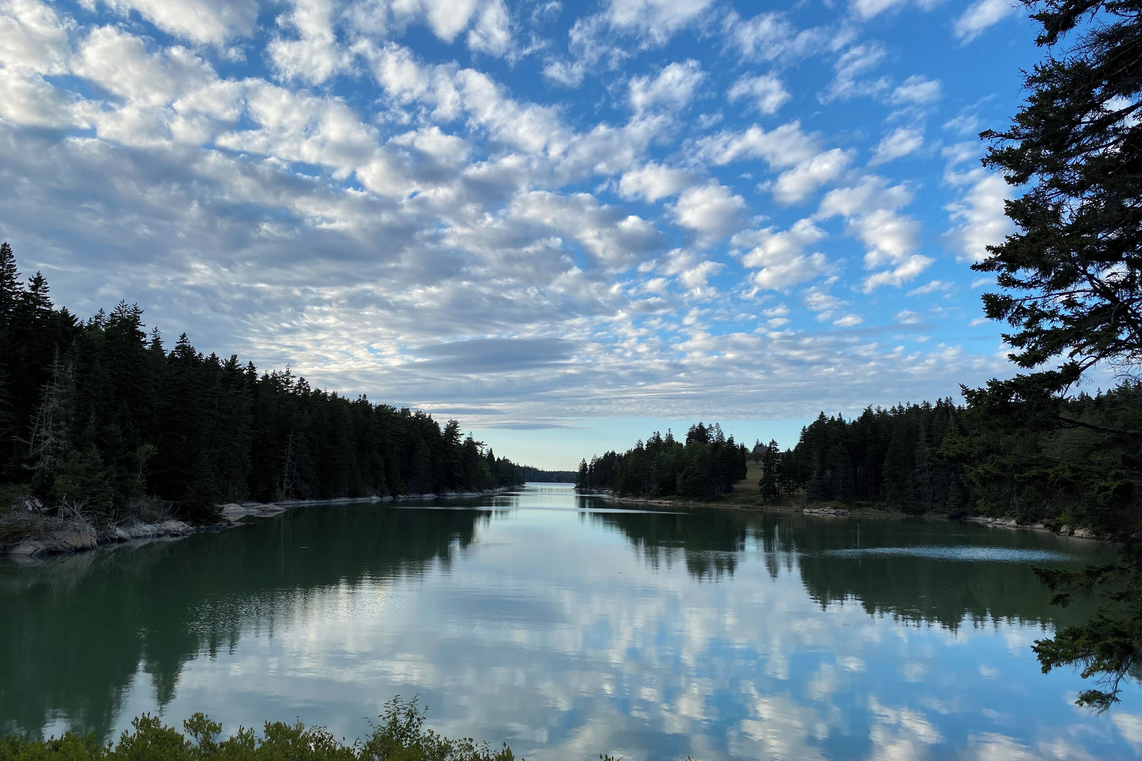 A calm river with dense forest on both sides, reflecting the sky above.