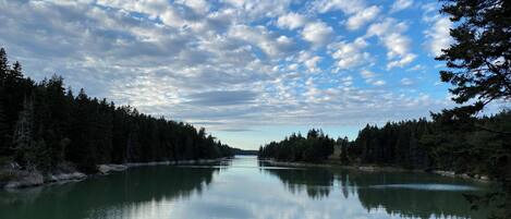 A calm river with dense forest on both sides, reflecting the sky above.