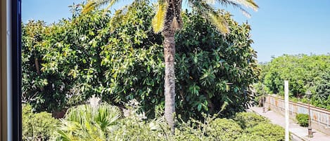A view through a window of a palm tree and dense foliage, with a street and a metal railing in the foreground.