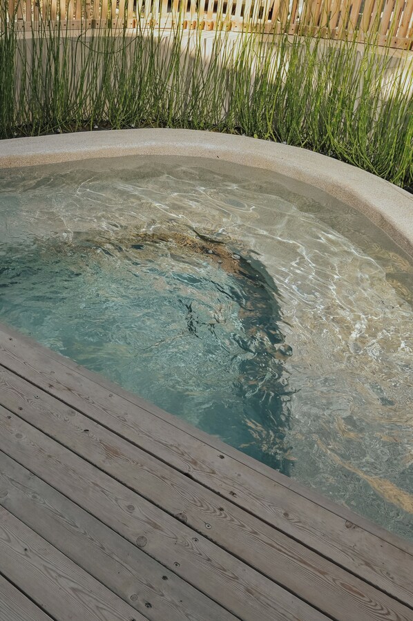 Two-Bedroom Apartment with Outdoor Jetted Tub | Outdoor spa tub - Elsa Modern Apartments (Pogonia)