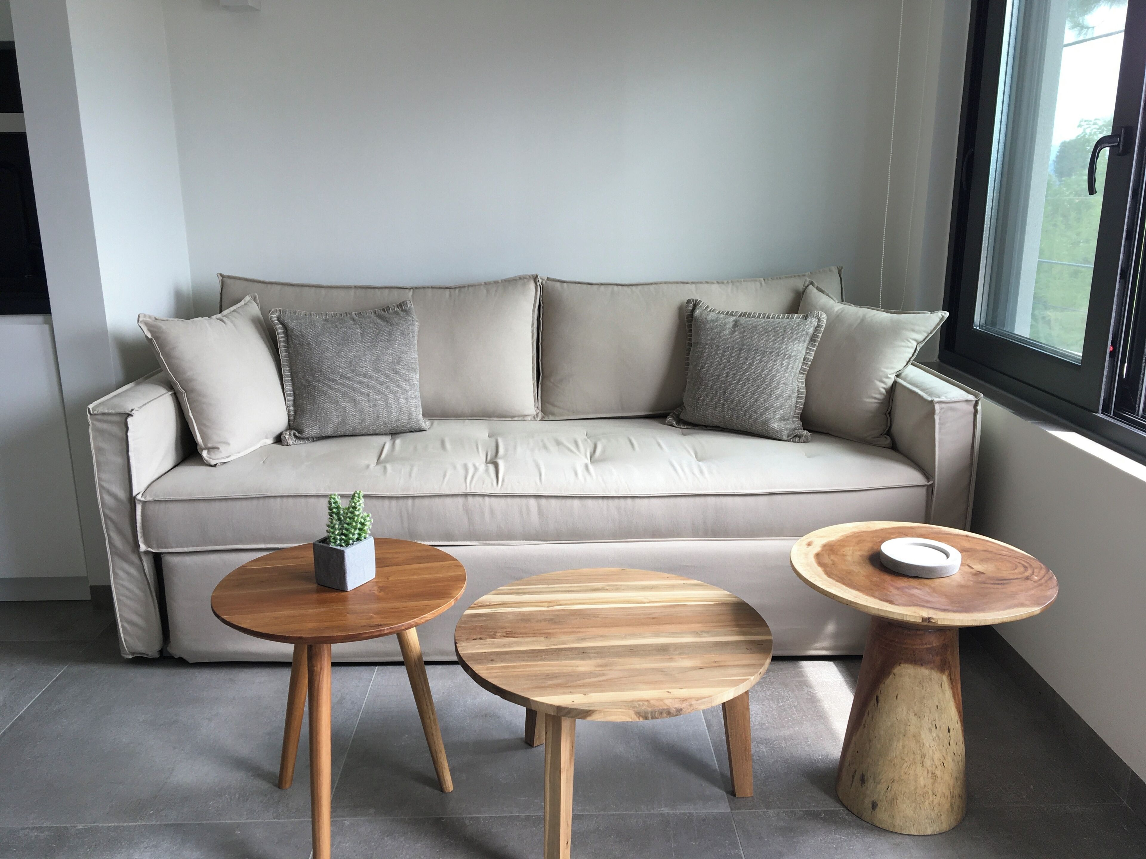 Una sala moderna con un sofá, dos mesas de madera y una pequeña planta en maceta.
