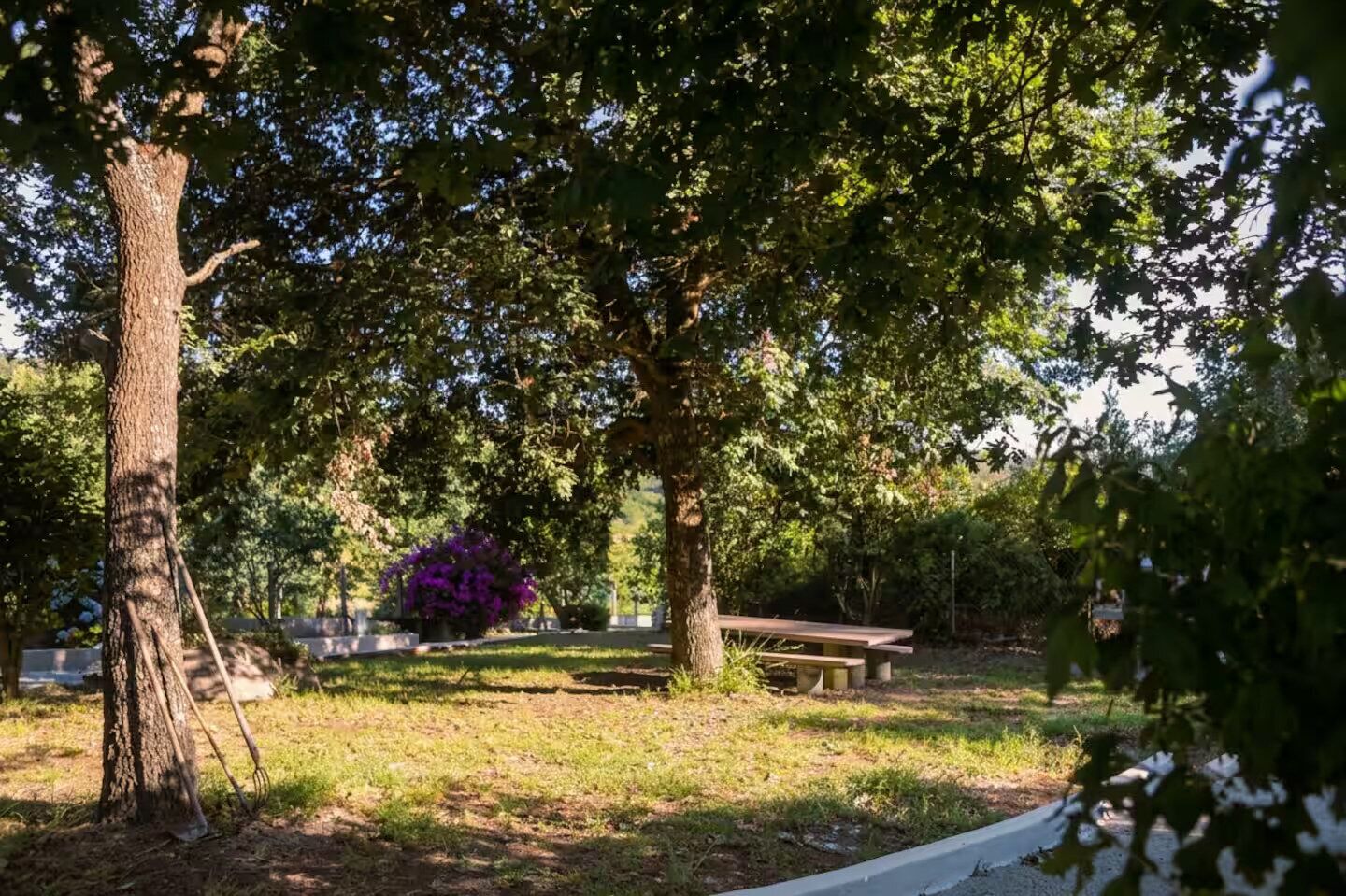 Terrein van de accommodatie