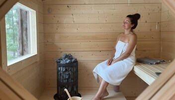 House, 3 Bedrooms, Sauna | Sauna