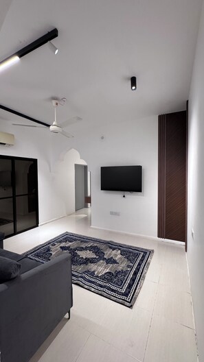 A modern living room with a flat-screen TV, a ceiling fan, and a patterned rug.