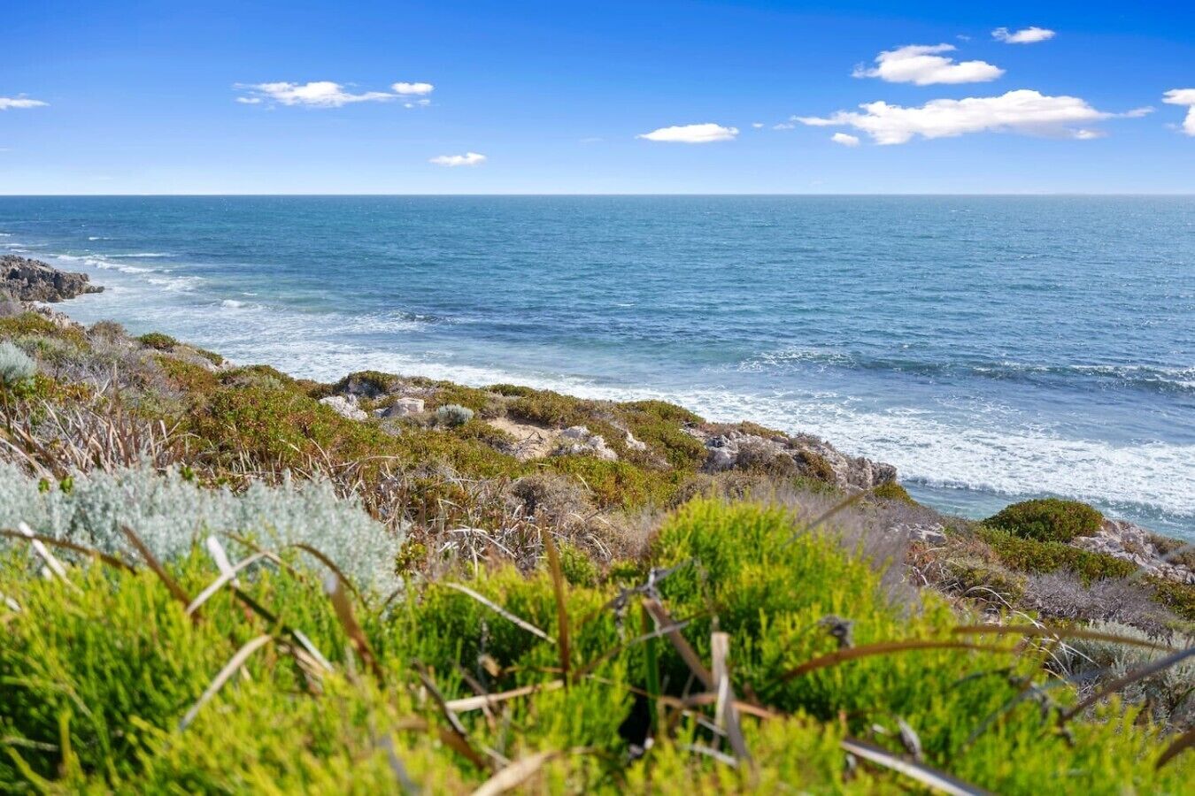 Un paysage côtier caractérisé par un terrain rocheux et une végétation luxuriante.
