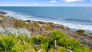 Eine Küstenlandschaft mit felsigem Gelände und Vegetation.