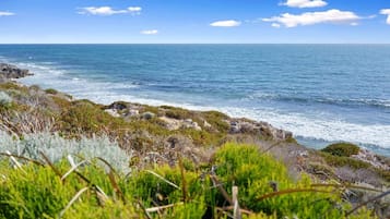 Un paysage côtier caractérisé par un terrain rocheux et une végétation luxuriante.