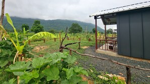 A rustic building with a metal roof, surrounded by lush greenery and a mountainous backdrop.