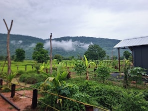 Property grounds - Cow Barn Cafe and Lodge Preah Vihear (Tbaeng Meanchey)