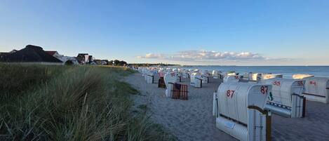 Ranta
