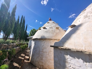 Miscellaneous - Konka Guest Farm (Carnarvon town)