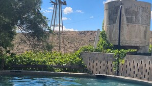 A swimming pool with a person in the water, surrounded by greenery and a windmill structure. - Konka Guest Farm (Carnarvon town)