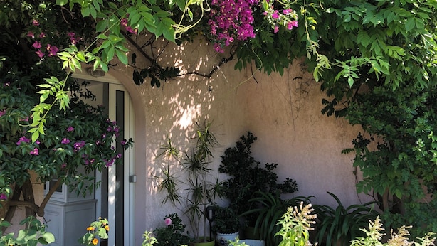 Een tuin met diverse planten en bloemen, een deur en plantenbakken langs een muur.