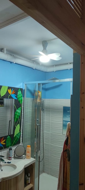 Shower, hair dryer, towels, soap - Cozy Studio (Port-Louis)