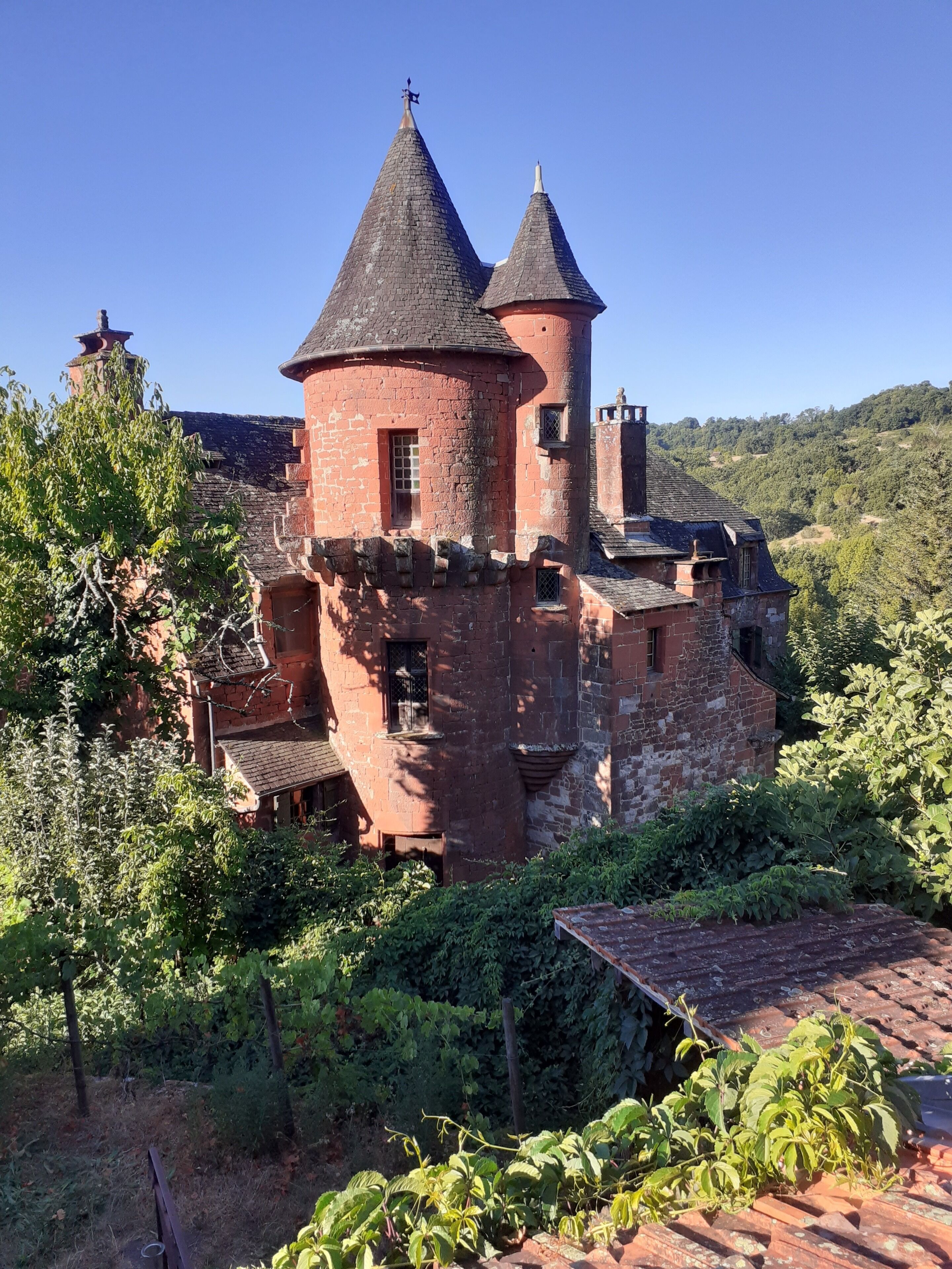 Um castelo histórico com uma torre central, rodeado por vegetação exuberante.