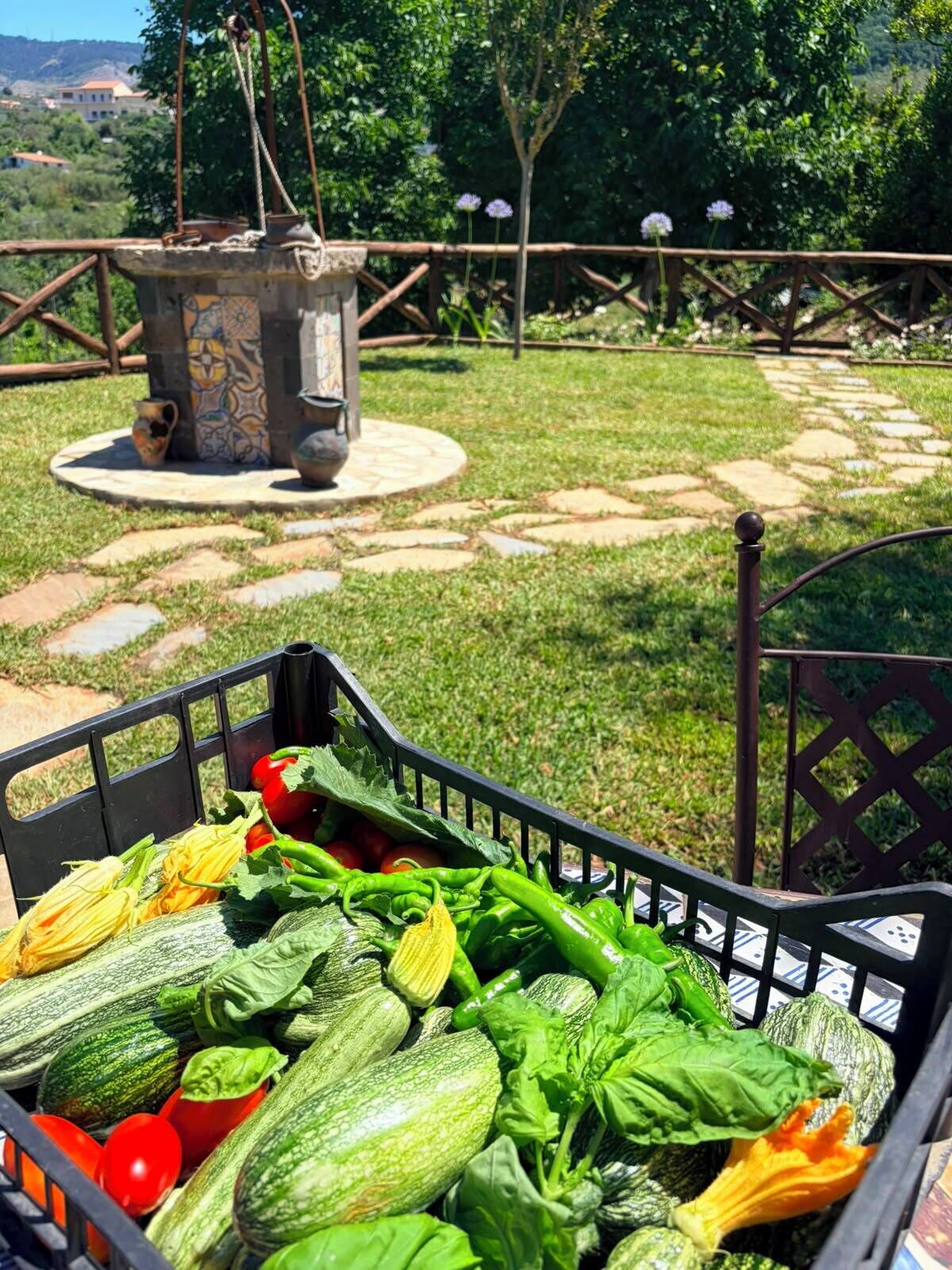 A garden with a stone pathway, a rustic fountain, and a black metal gate.
