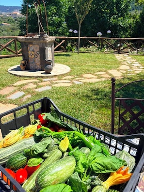 Property grounds - Arola Rustic Retreat (Arola-Preazzano)