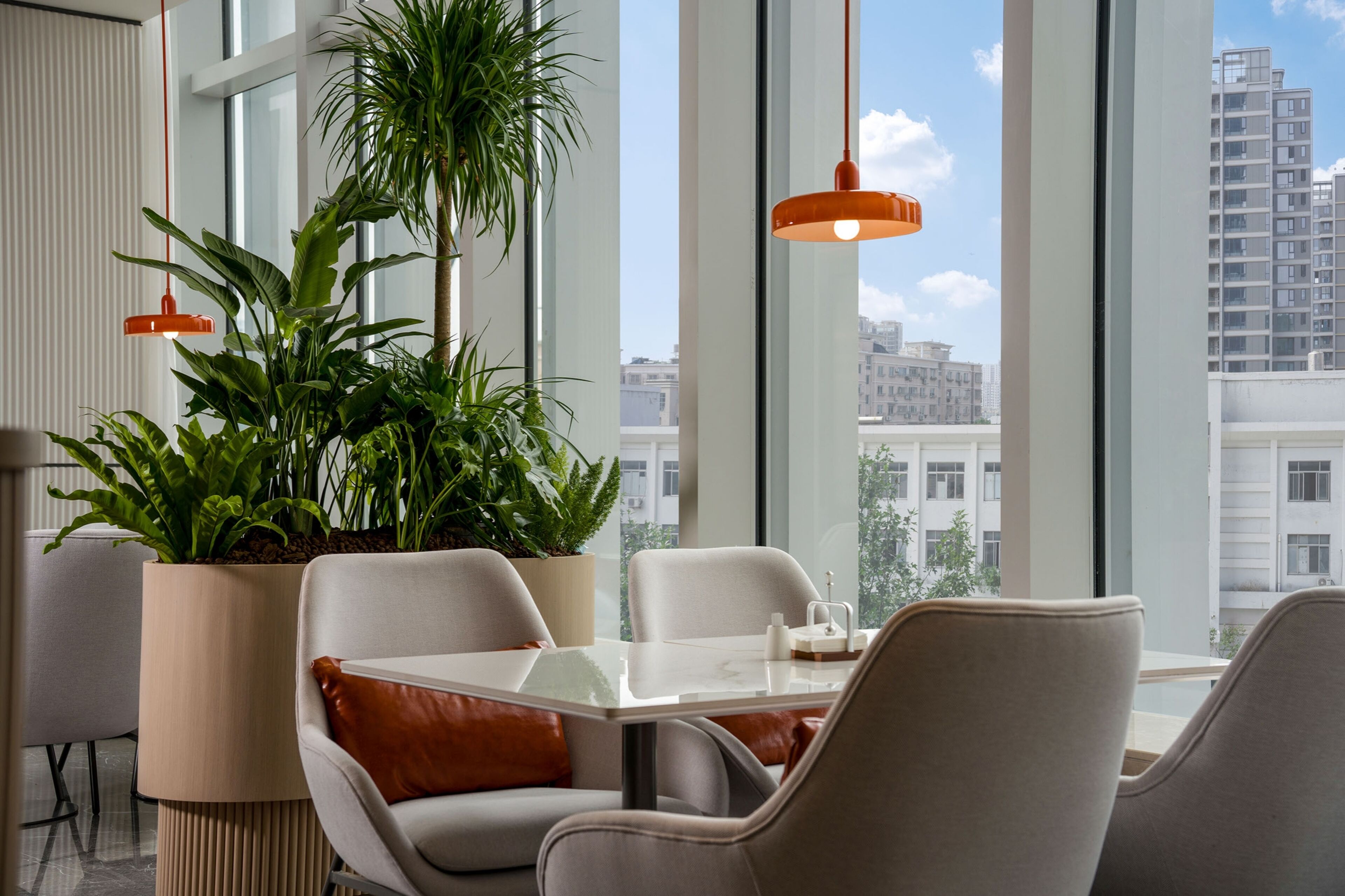 Un comedor moderno con una mesa, sillas y plantas en macetas.