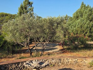 A stone pathway leading through an olive grove with a stone wall on one side. - Domaine de Fanny : Heart of Provence - 14 persons (Entrecasteaux)