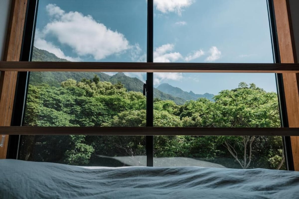 Single Room, Mountain View