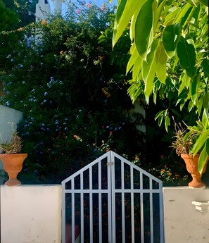 Uma área cercada com um portão branco, vasos de plantas e vegetação densa ao fundo.