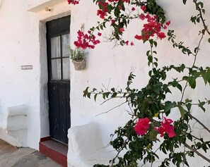 Detalle exterior