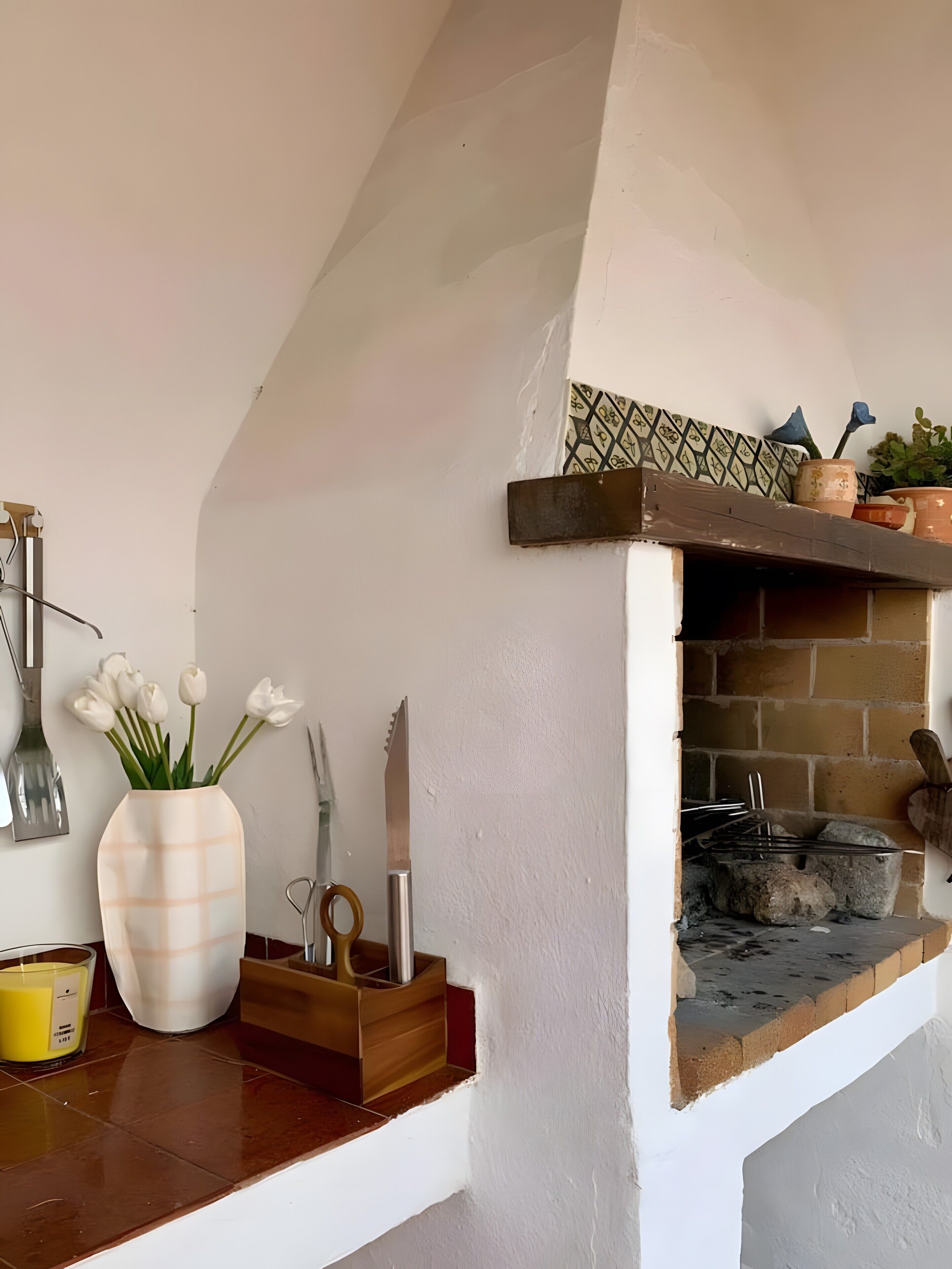 Une cuisine avec un four en briques, une étagère blanche ornée de plantes en pot et un vase rempli de fleurs.