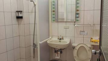 Rainfall showerhead, hair dryer