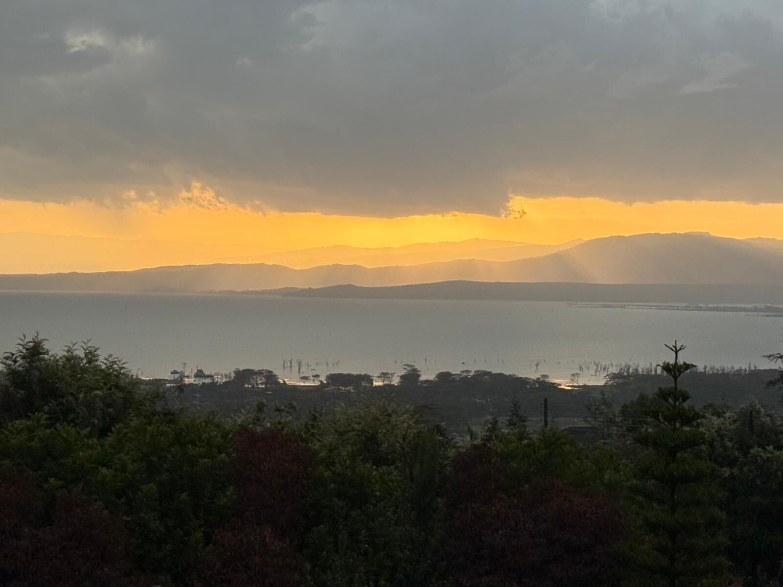 A coastal landscape with mountains in the distance, a body of water, and a foreground of trees.