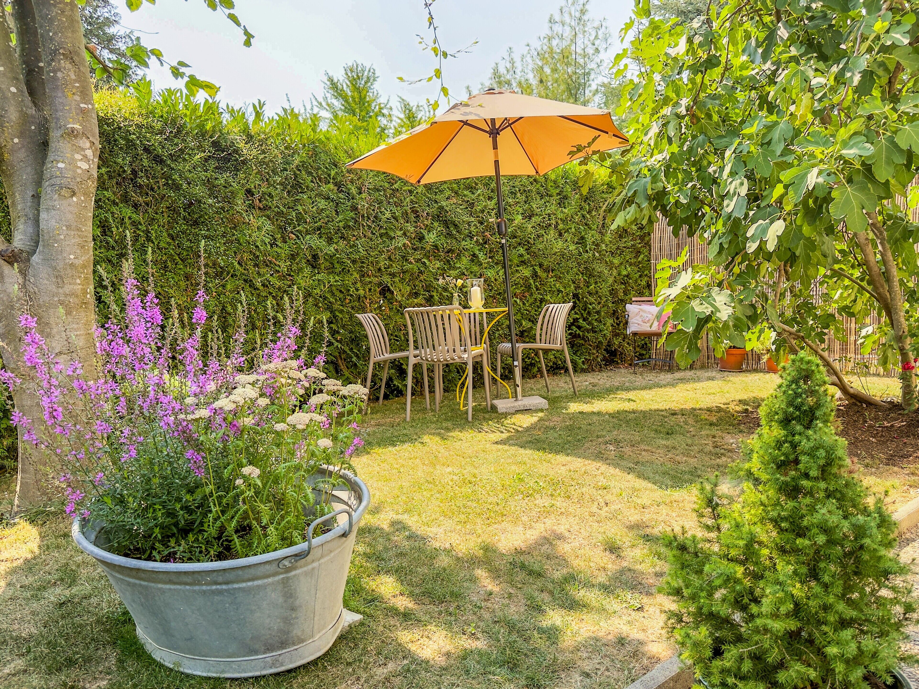 Een tuin met een tafel en stoelen onder een overkapping, omringd door groen en een kleine boom.