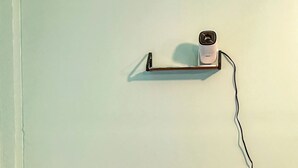 Una habitación con un sofá gris, una mesita con una planta y un estante en la pared con un dispositivo.
