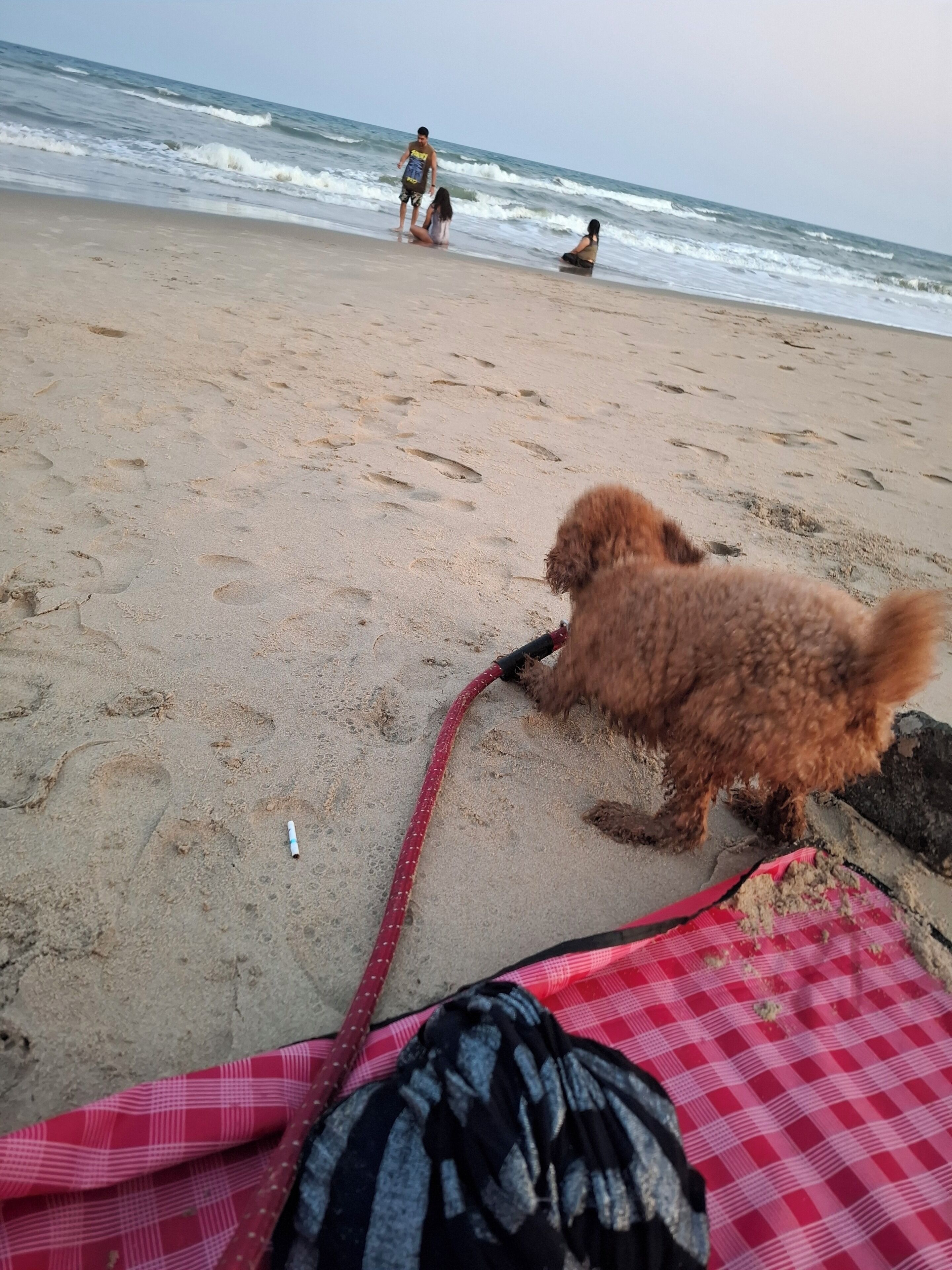 Strand