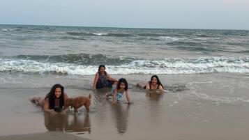 Une scène de plage avec des personnes et un chien près du bord de l’eau.