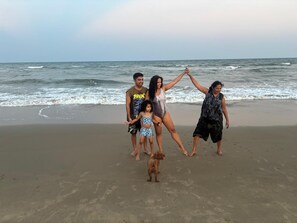 Beach - 4-bedroom luxury Beach villa on gorgeous Bay of Bengal,Tamil Nadu.pet friendly. (Marakkanam)