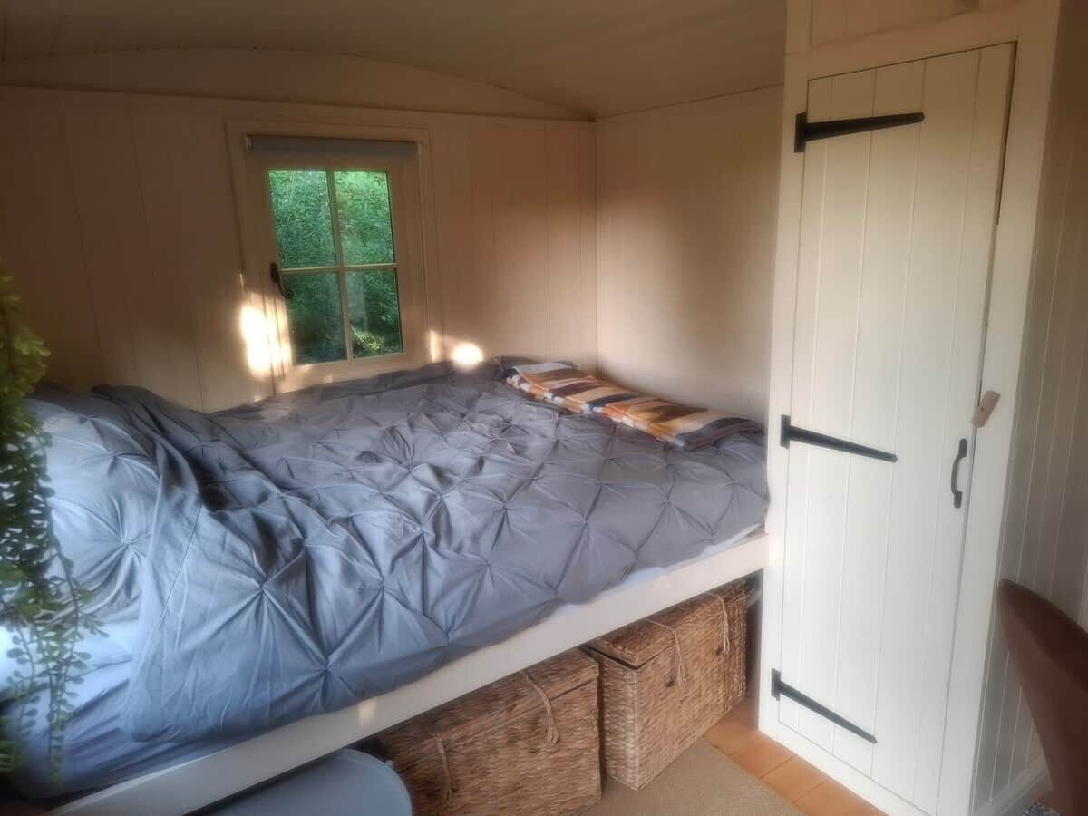 A single bed with a grey quilt, a window with a view of greenery, and a white door with a black handle.