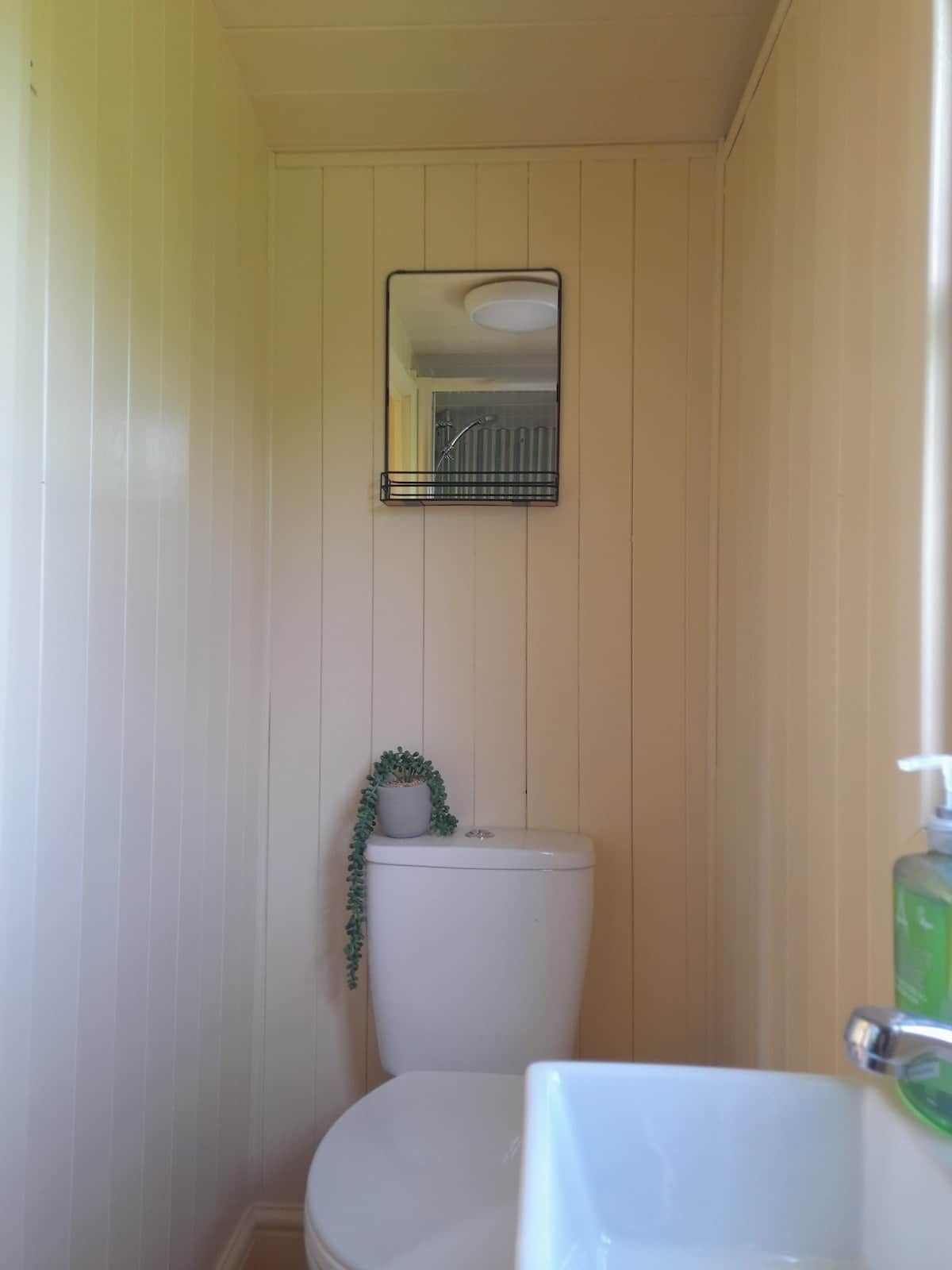 Un bagno con il water, un lavandino, uno specchio e una piccola pianta in vaso.