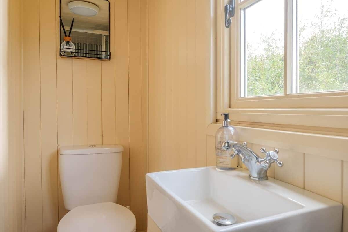 A bathroom with a white toilet, a sink with a soap dispenser, and a window with a view of greenery.