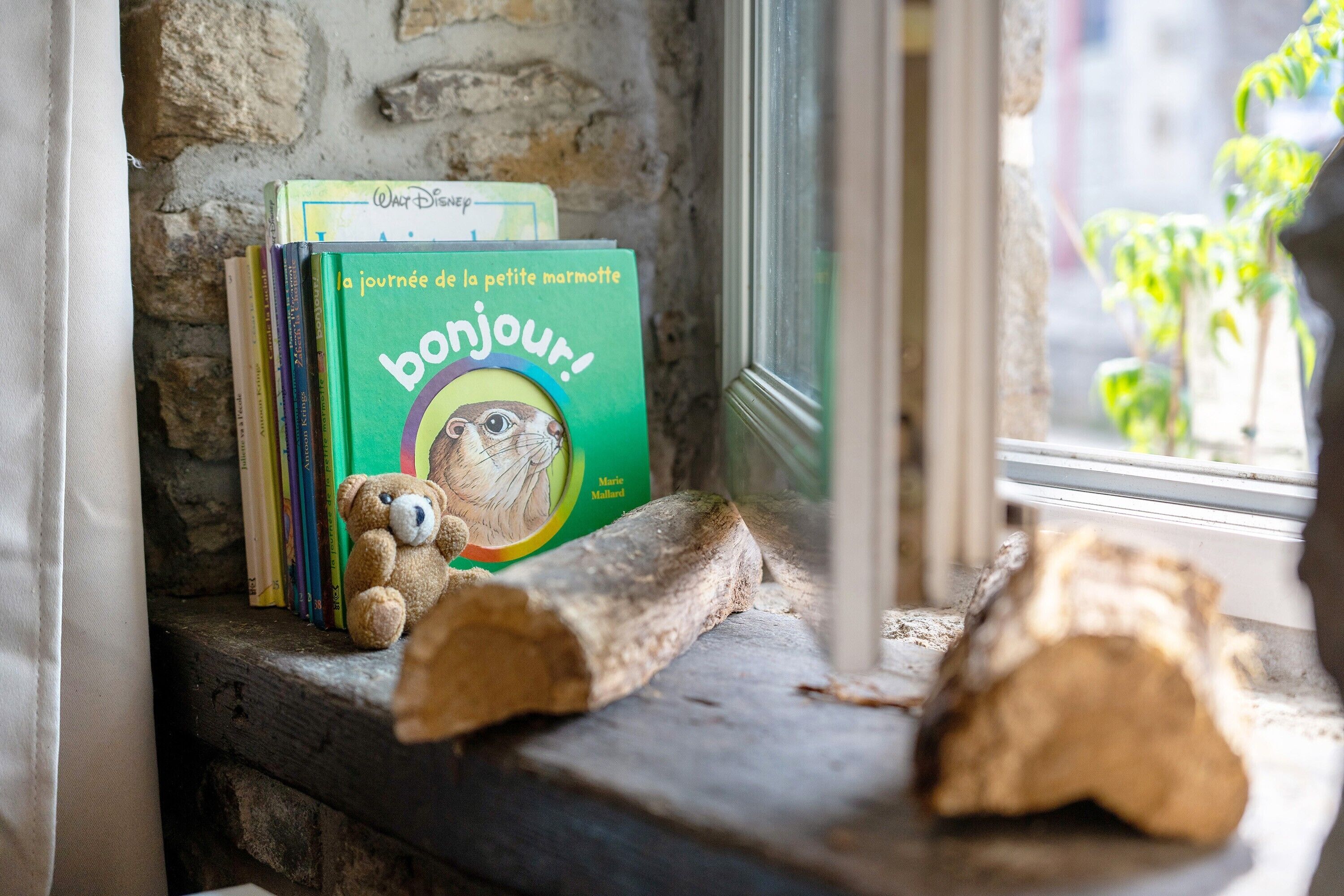 Une étagère avec des livres et un ours en peluche.