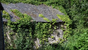 A dilapidated building with ivy-covered walls and a roof. - Au Bon Séjour (Sainte-Suzanne-and-Chammes)