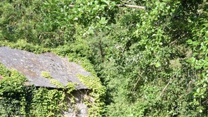 A rustic building with ivy-covered walls, surrounded by dense greenery and a calm water body. - Au Bon Séjour (Sainte-Suzanne-and-Chammes)