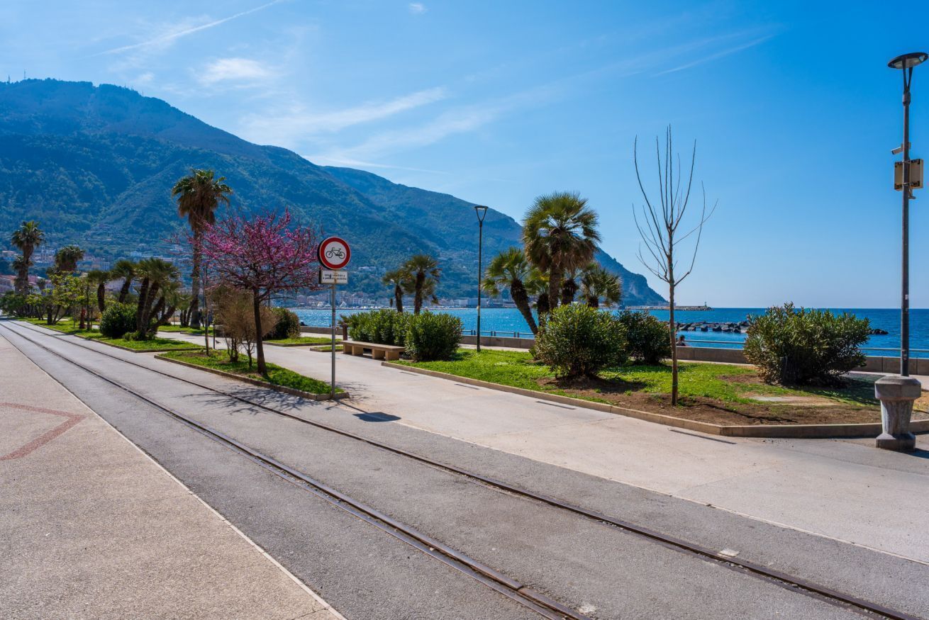 A coastal street with tram tracks, palm trees, and a mountain in the background.