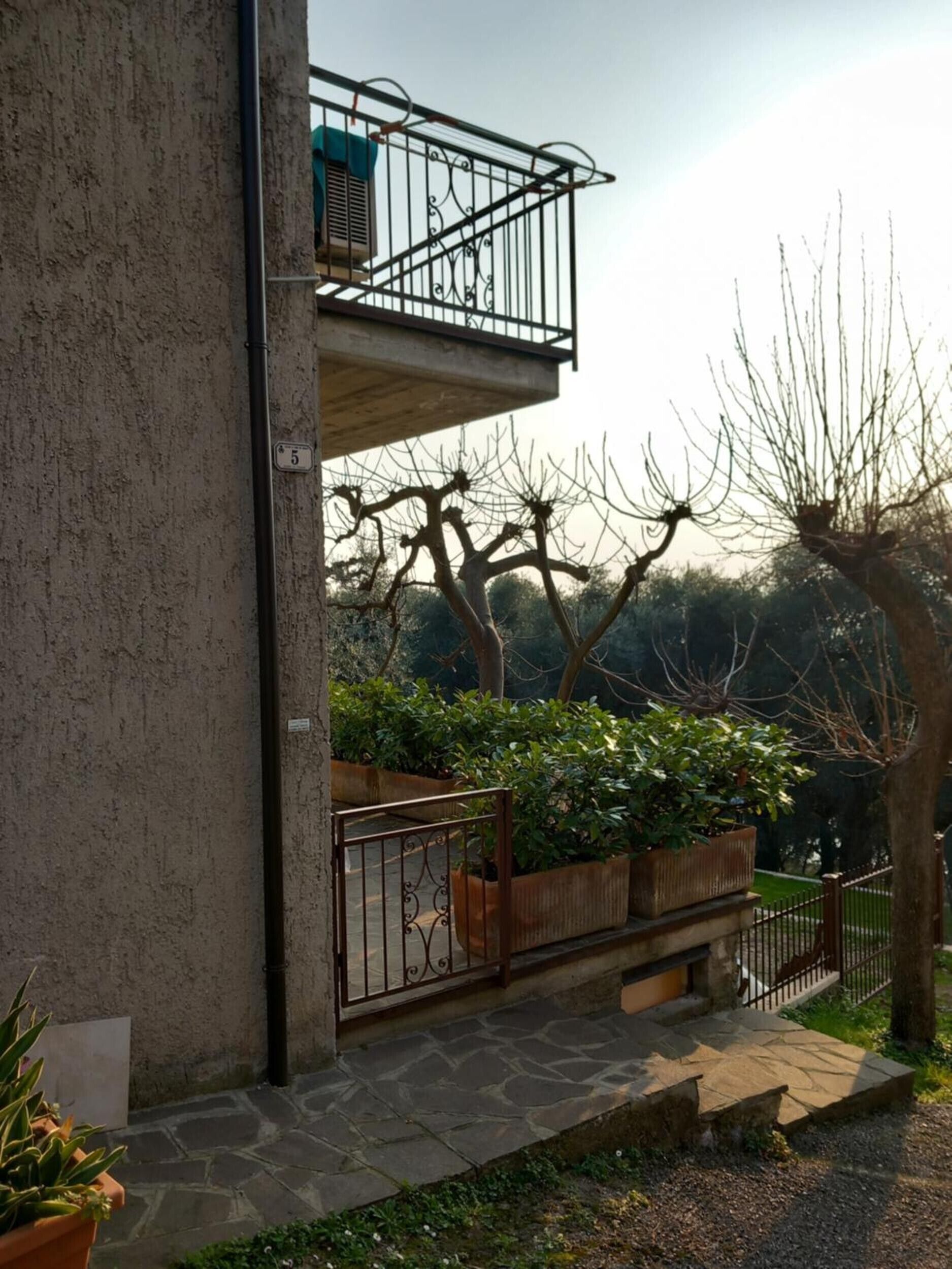 Parco della struttura