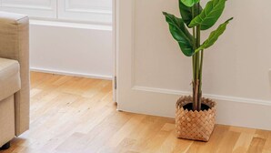 A room with a wooden floor, a white door, a potted plant, and a wall-mounted mirror. - Cozy Santa Catarina Studio by HostWise (Porto)