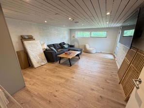Fernseher, Kamin