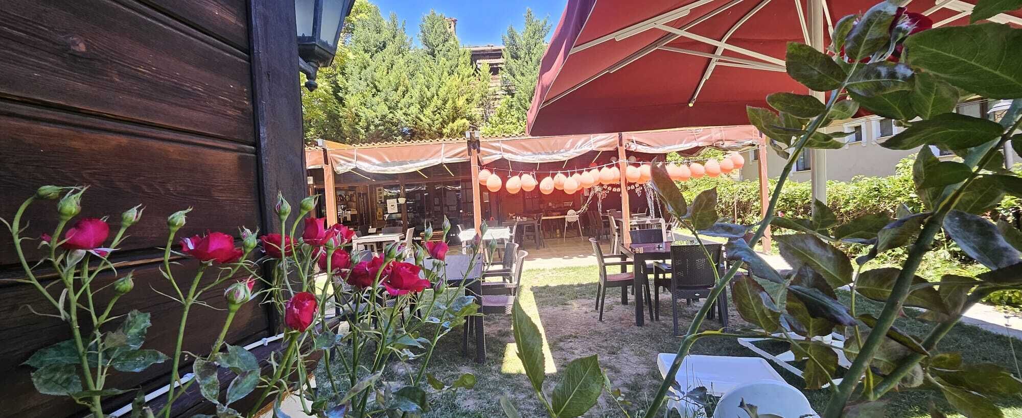 供应早餐、午餐和晚餐