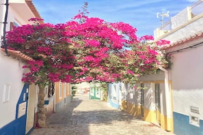 Property grounds - Casa Eldorado Luxury Villa with Private Pool in Ferragudo (Ferragudo)