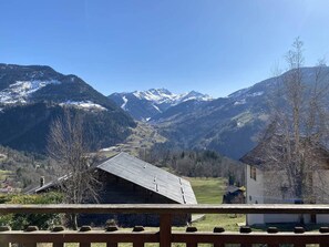 Property grounds - Cozy chalet, pets welcome, mountain view - 11 guests (Beaufort)