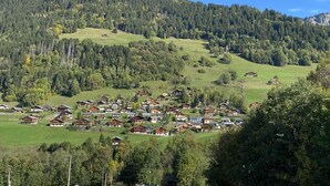 Un pueblo de montaña con casas de madera tradicionales, campos verdes y un bosque denso.